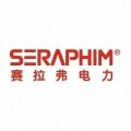 赛拉弗电力